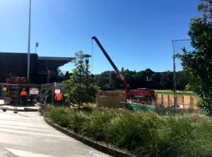 Sydney University Pezzimenti Tunnelbore Microtunnelling Site Setup