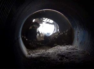 Gladstone Pezzimenti Digger Arm Case Study