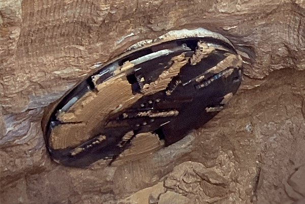 Pezzimenti_CaseStudy_RouseHill_Feature